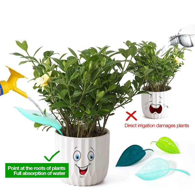 Plant Water Funnel