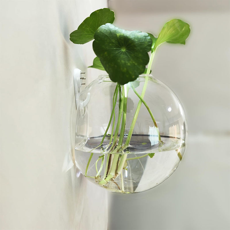 Creative wall-mounted vase