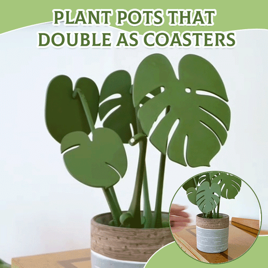 Plant Pots That Double as Coasters
