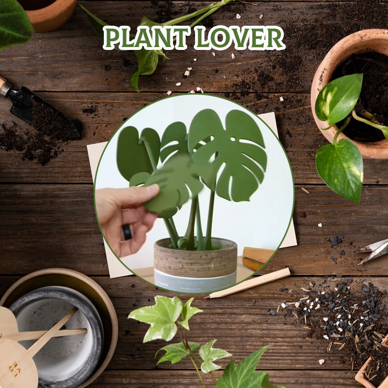 Plant Pots That Double as Coasters